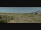A Vaca Do Matrix